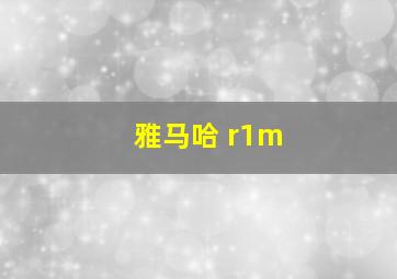 雅马哈 r1m